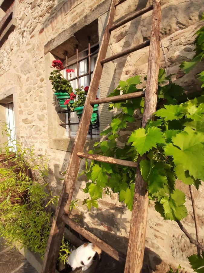 Agriturismo Frantoio Valiani Cortona Exteriör bild